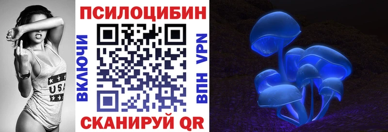 цены наркотик  блэк спрут как войти  Галлюциногенные грибы Psilocybine cubensis  Себеж 